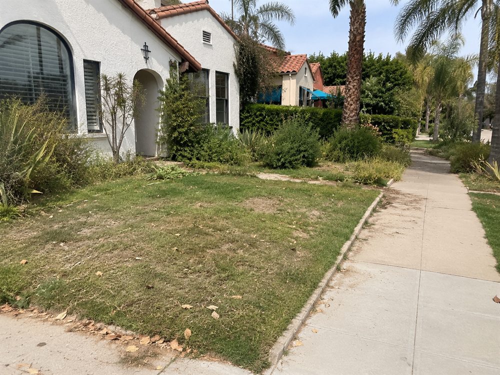 Before Los Angeles lawn care with patchy grass and overgrown landscape edges